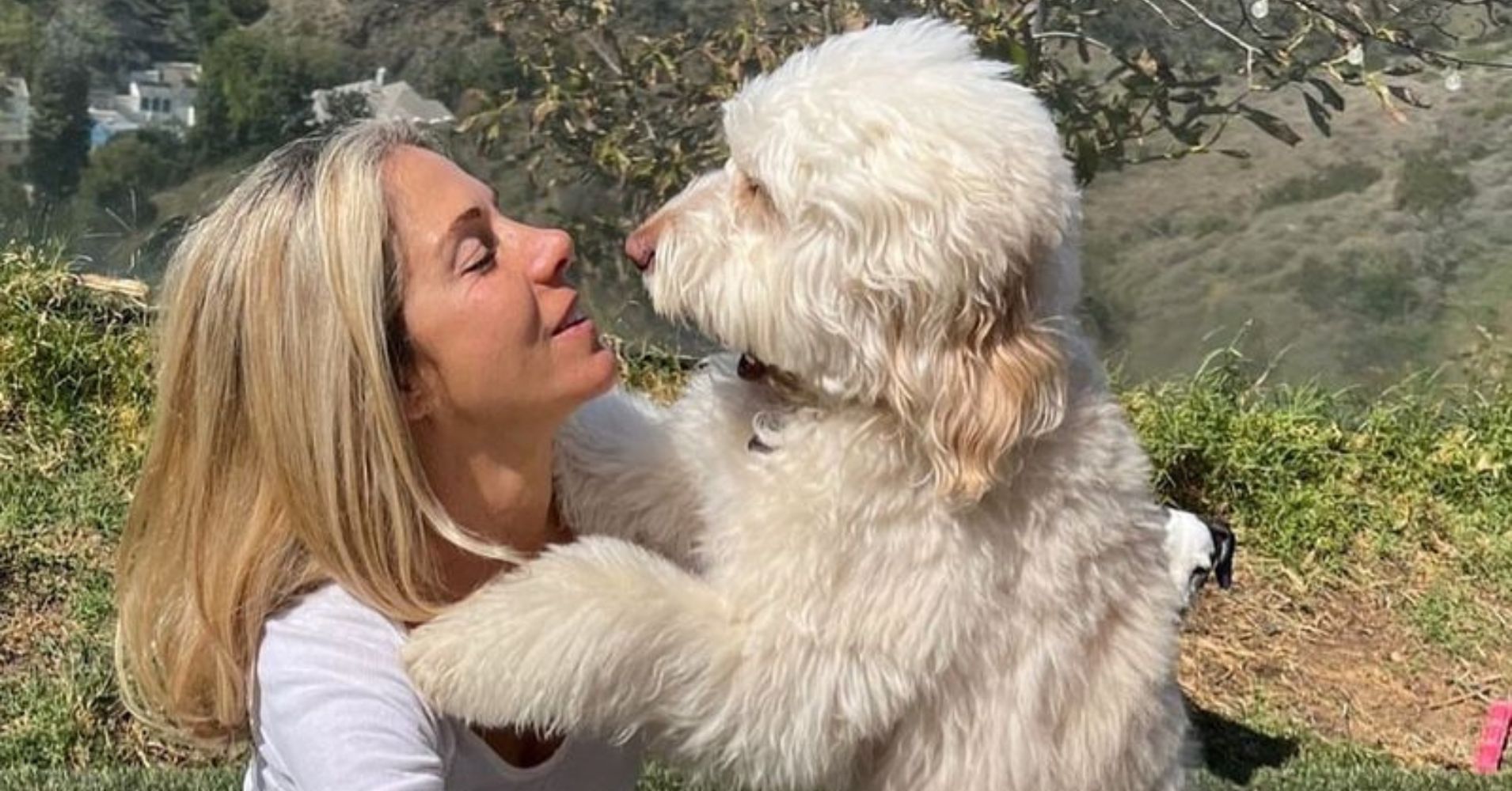 A closer look at Canine Anxiety And Depression Treatment