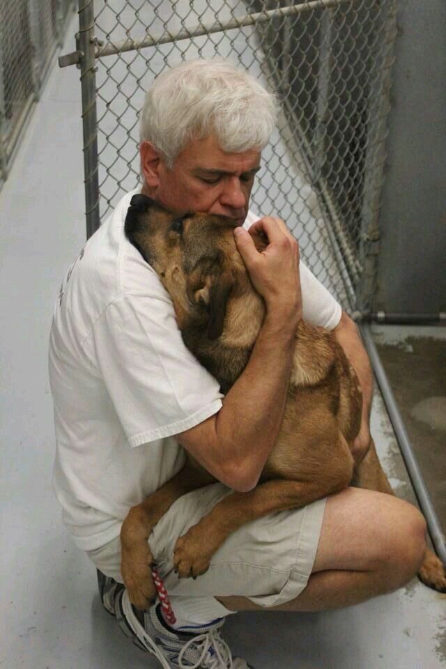 SHB. After 5 years, loyal dog Alden happily reunited with his owner at the shelter, a tearful hug touched millions of people (Video) ​