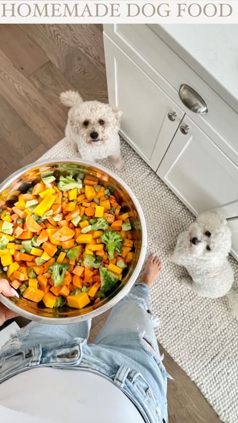 Homemade Dog Food