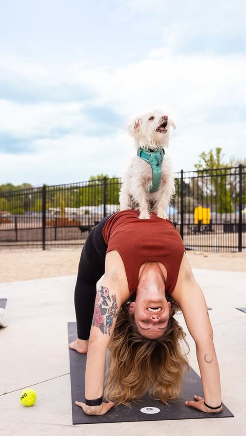 Pet Yoga