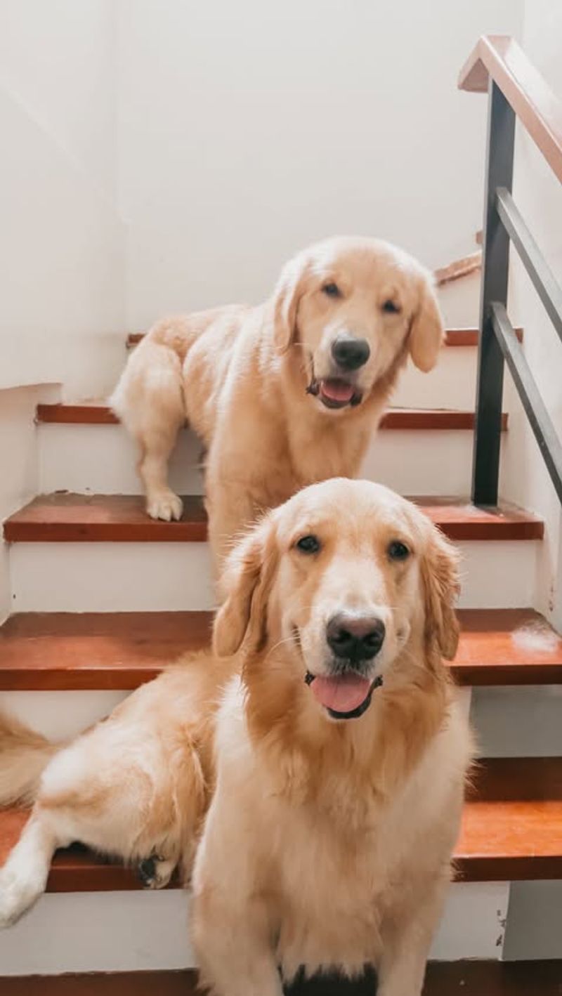 Adaptable Friends