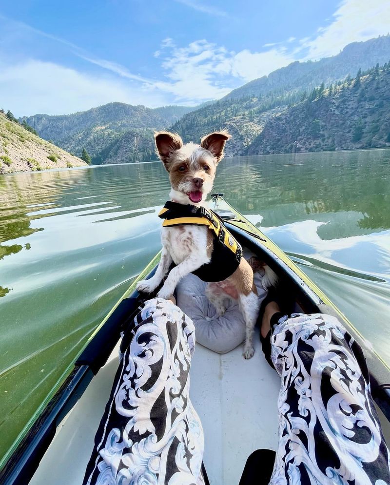 Adventurous Spirit