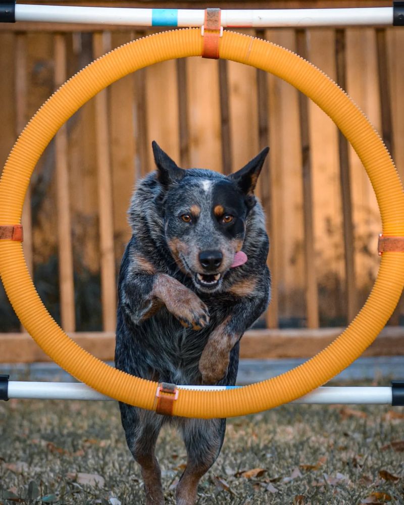 Agility and Athleticism