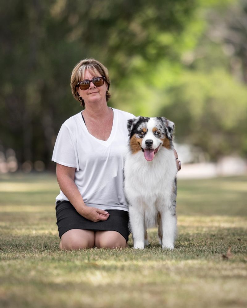 Australian Shepherd