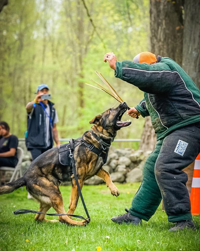 Behavioral Training