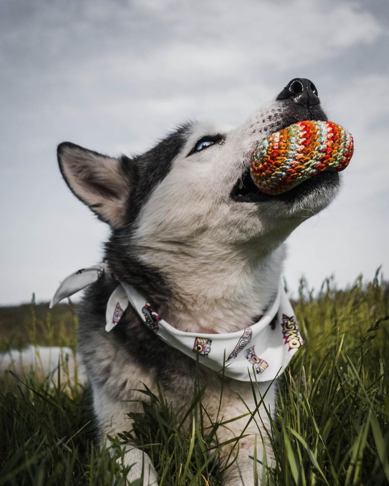 Bringing You Their Toys