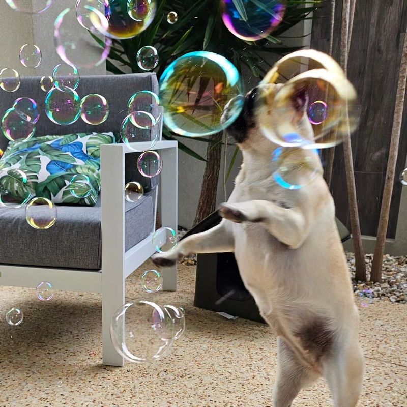 Bubble Playtime