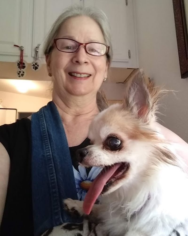 Chihuahua