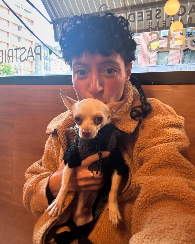 Chihuahua