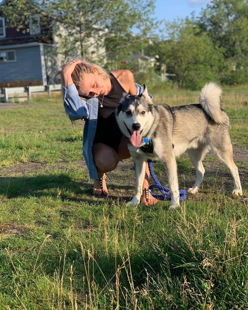 Companionship
