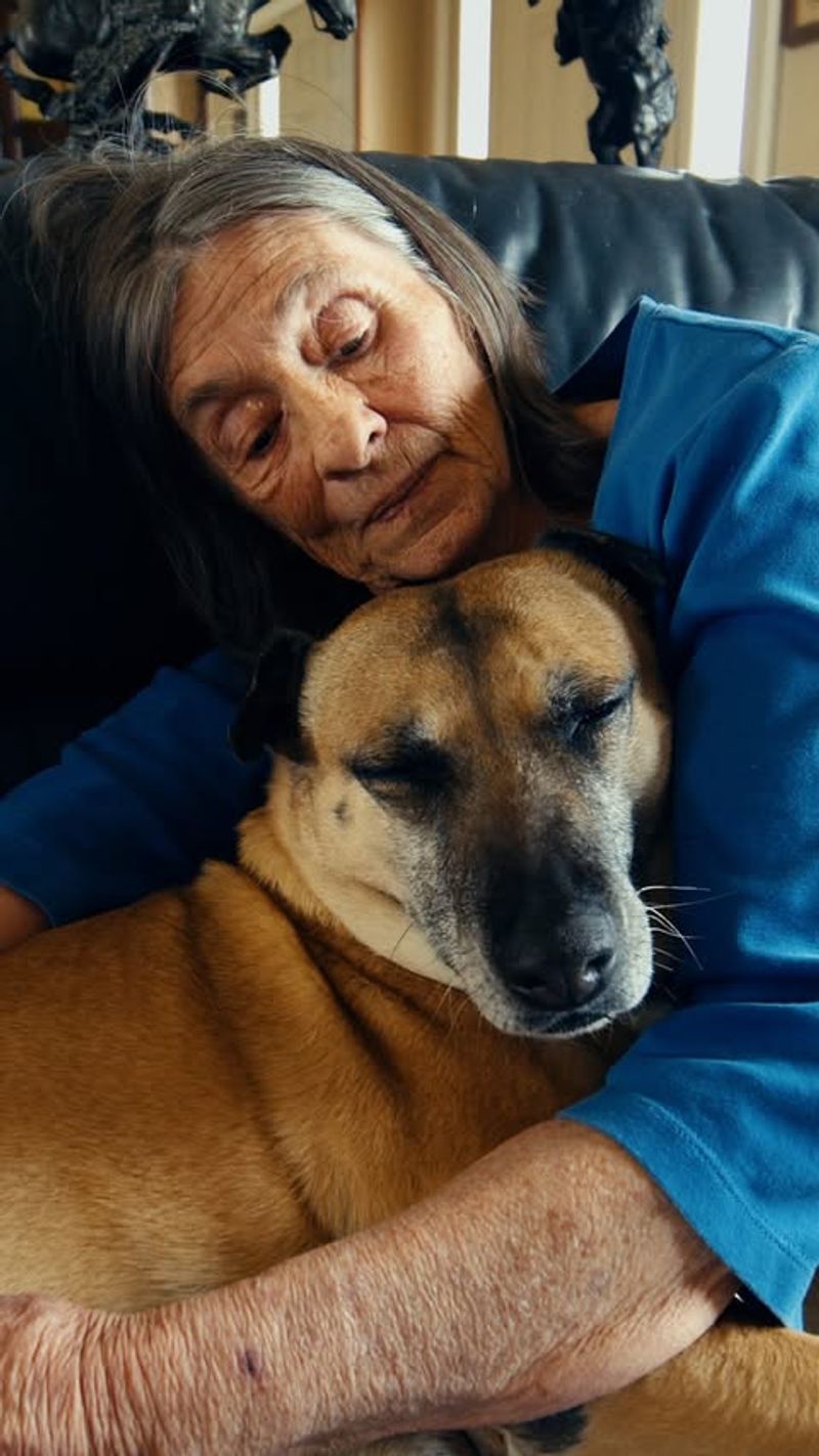 Companionship for the Lonely