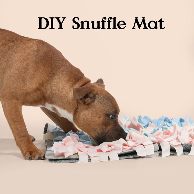 DIY Snuffle Mat