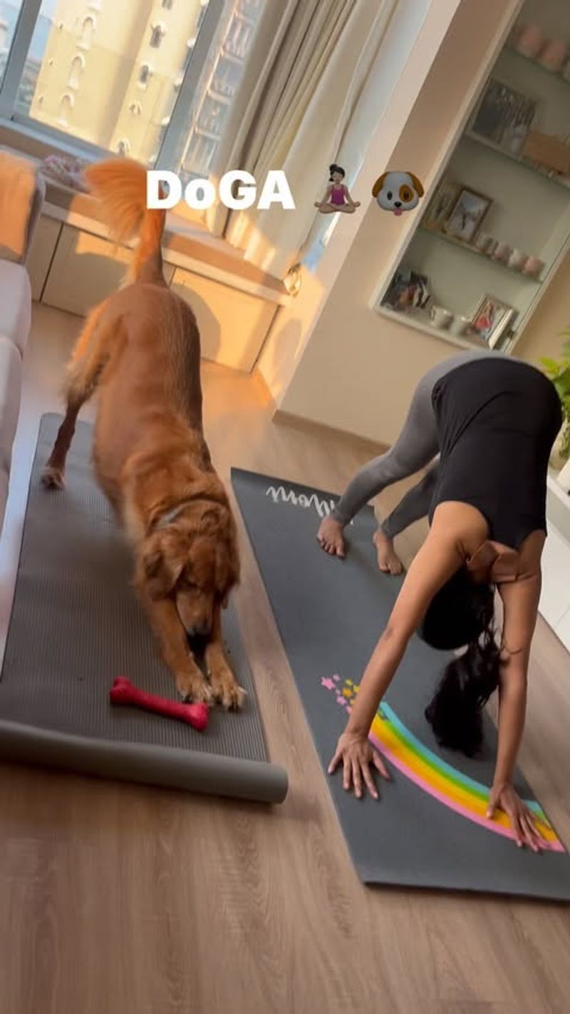 Dog Yoga (Doga)