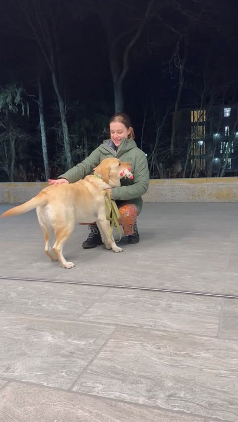 Emotional Support