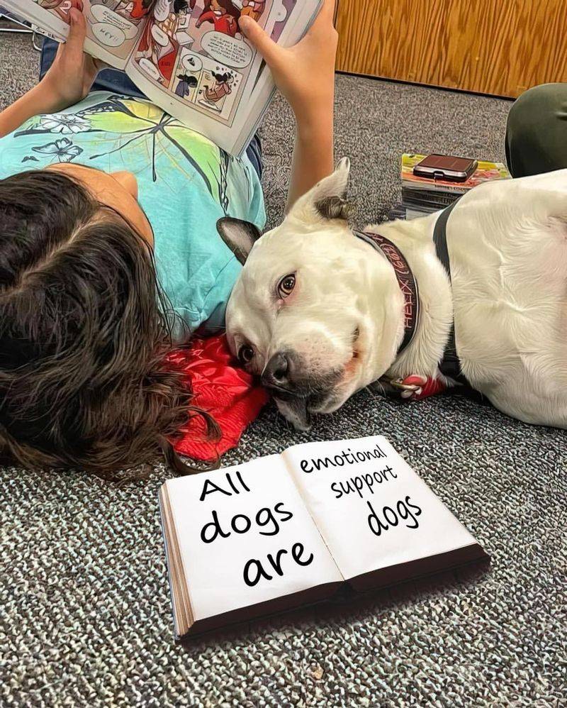 Emotional Support