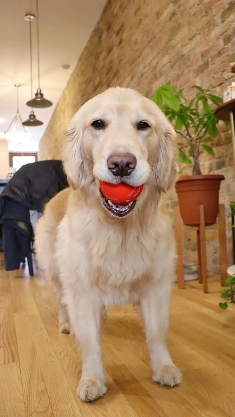 Endless Entertainment