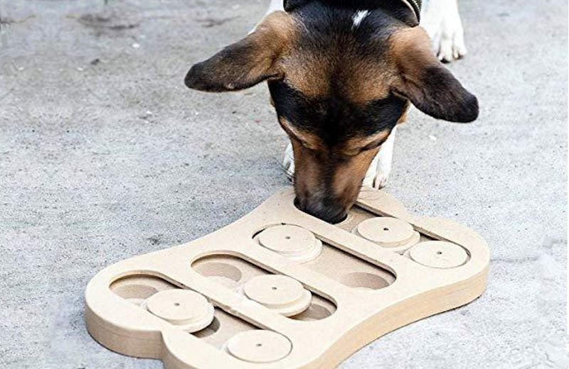 Ethical Pet Seek-A-Treat Shuffle Bone