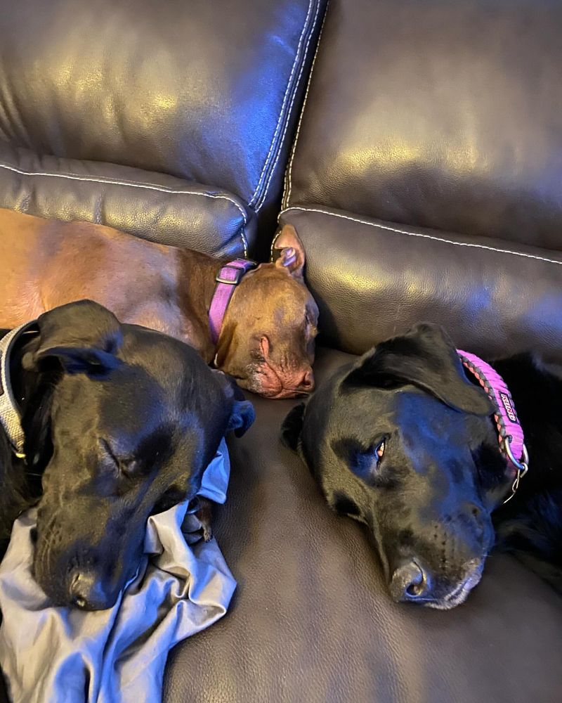 Excellent Listeners