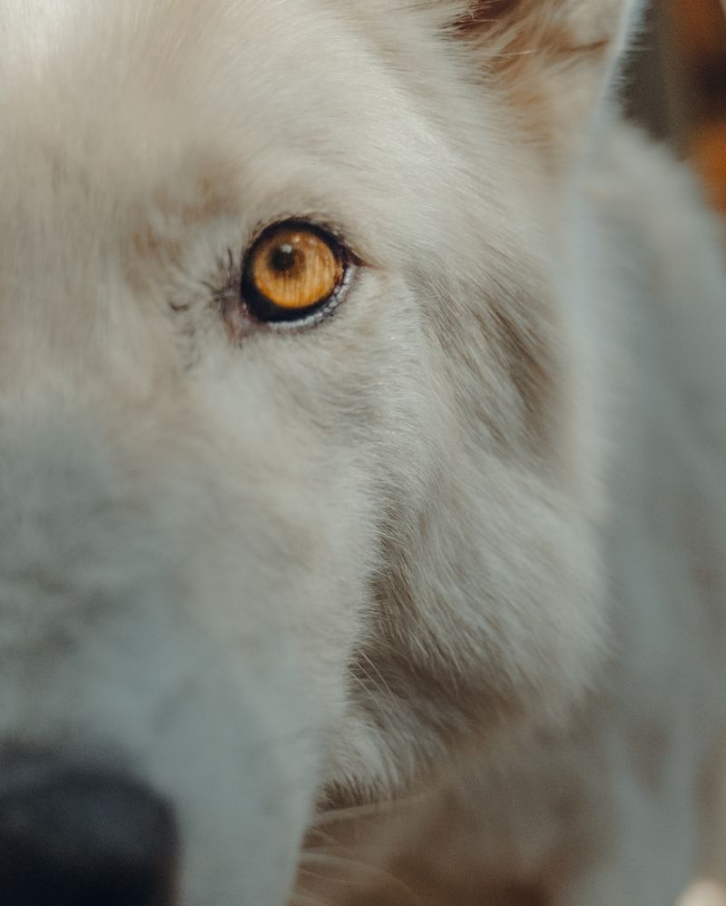 Eye Contact