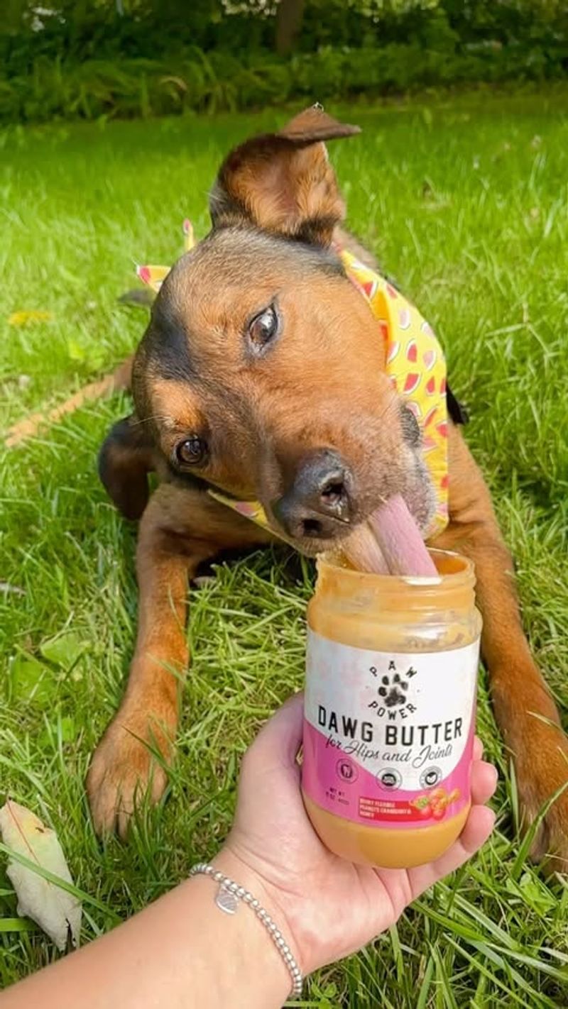 Fido's Organic Peanut Butter