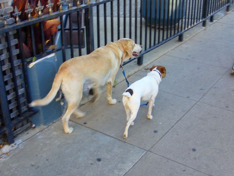 Following You Around