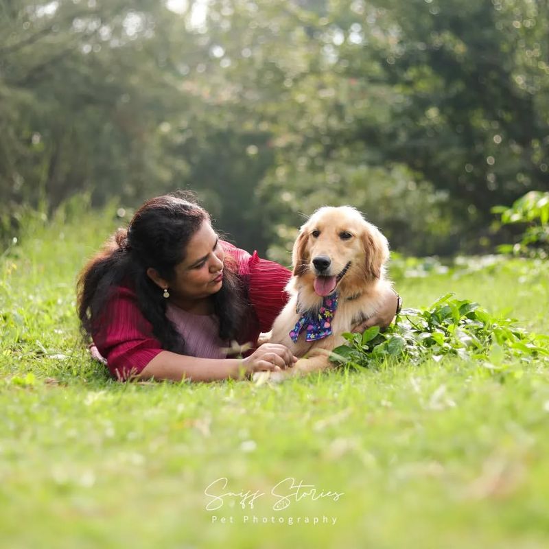 Golden Retriever