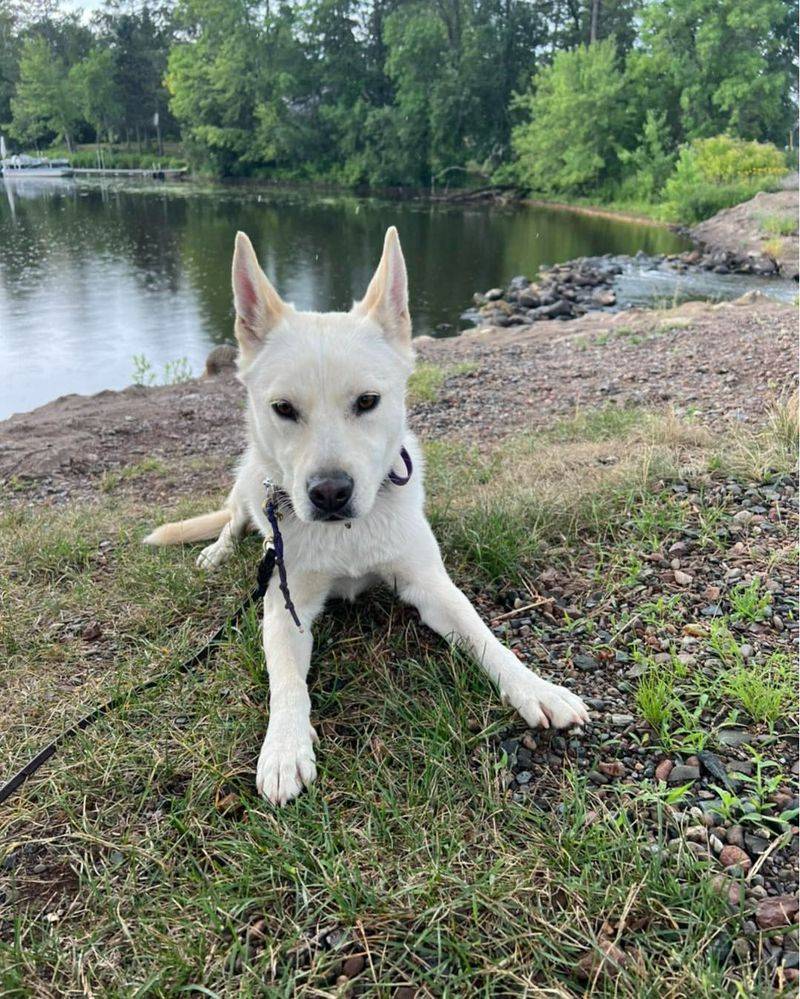 Huskador