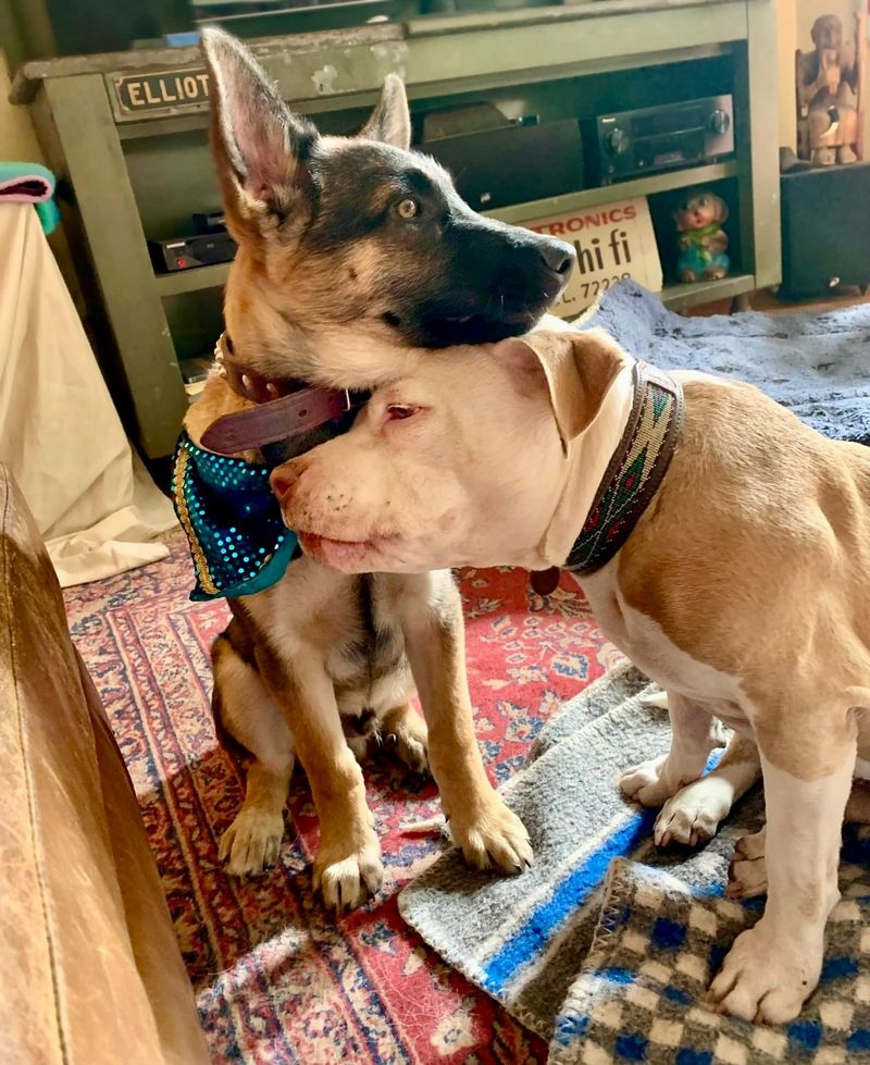 Instinctive Empathy