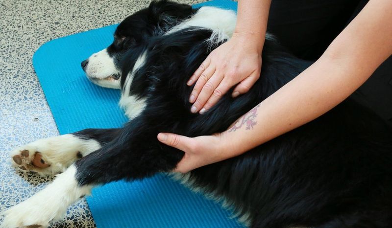 Massage Therapy