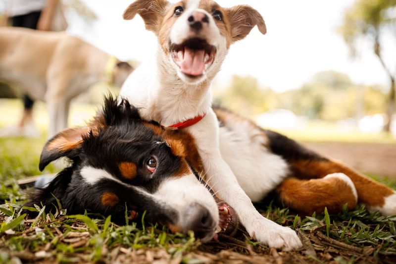 Meeting New Friends