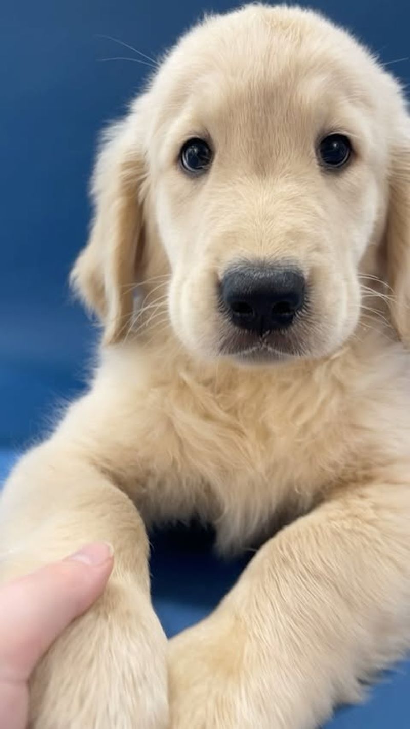 Offering Unconditional Love