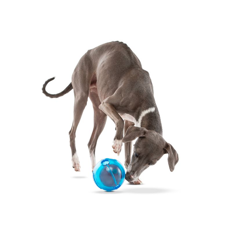 OurPets IQ Treat Ball