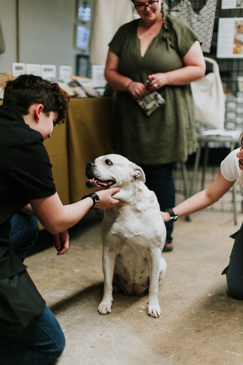 Participating in Pet Loss Support Groups