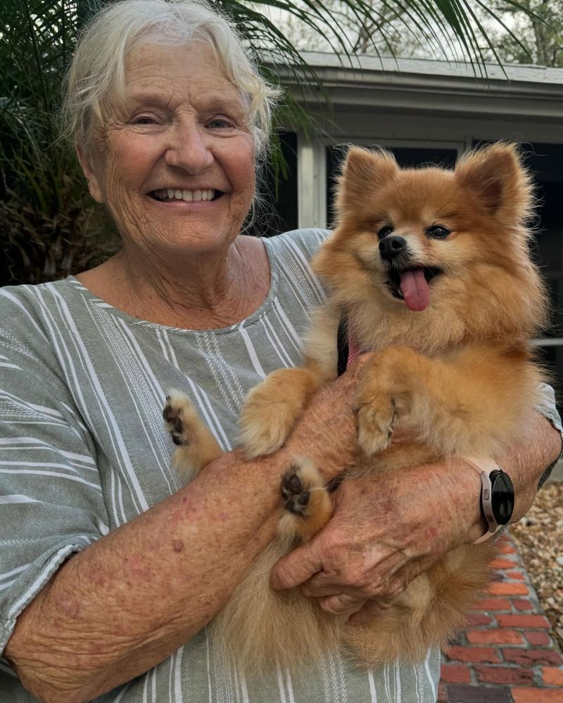 Pomeranian