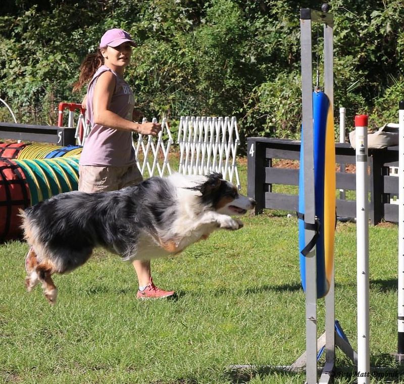 Popular in Dog Sports
