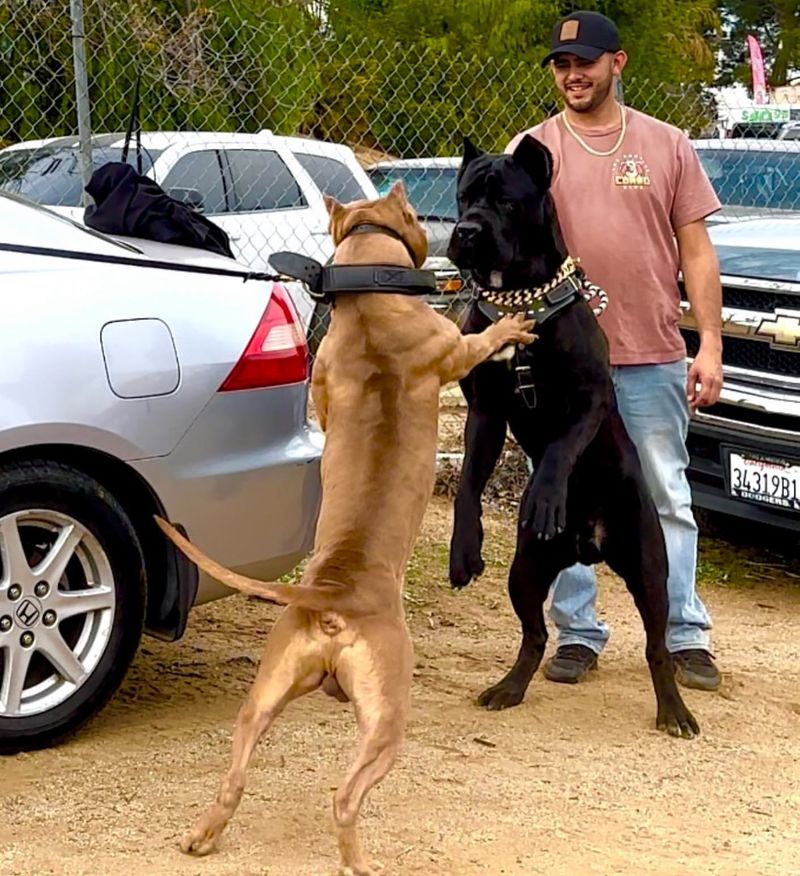 Protective Behavior