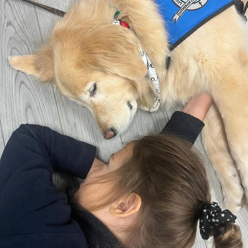 Providing Comfort