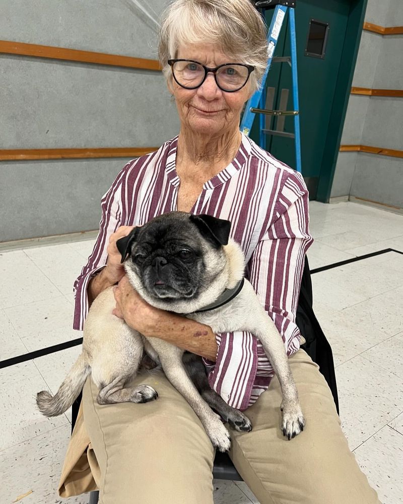 Pug