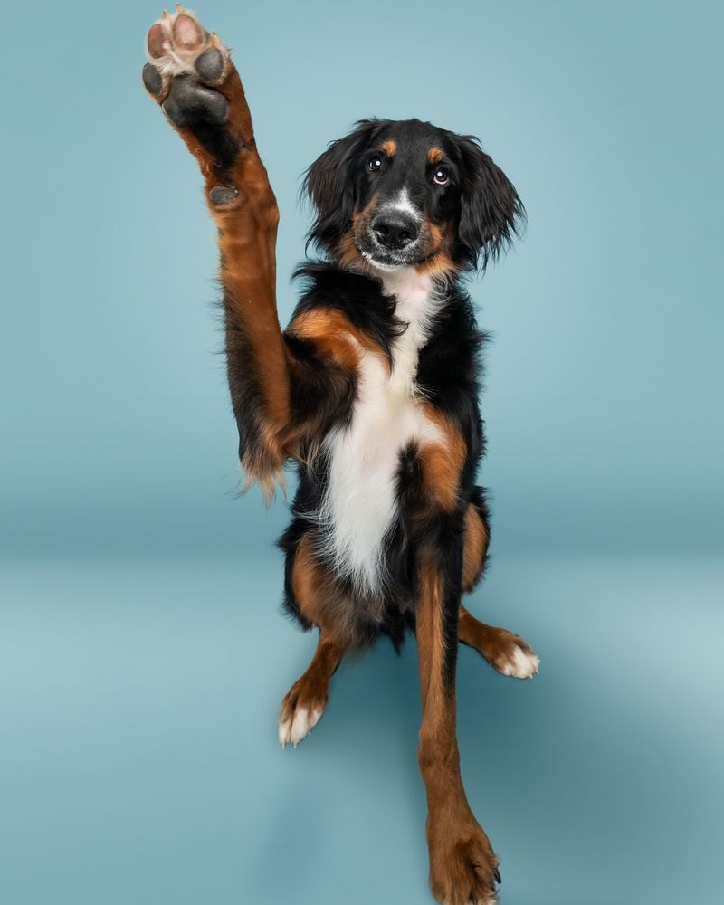 Raised Hands