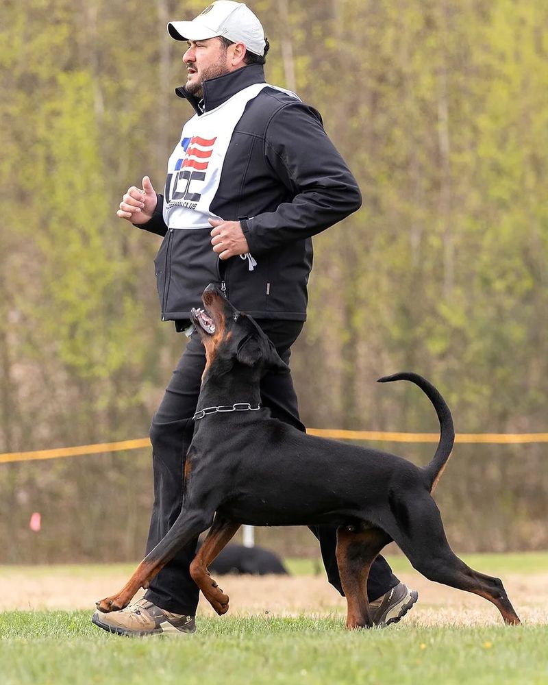 Regular Training Requirements