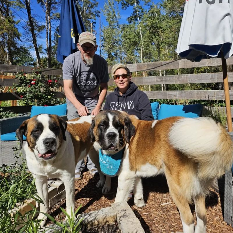 Saint Bernard