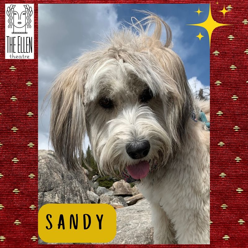 Sandy from Annie