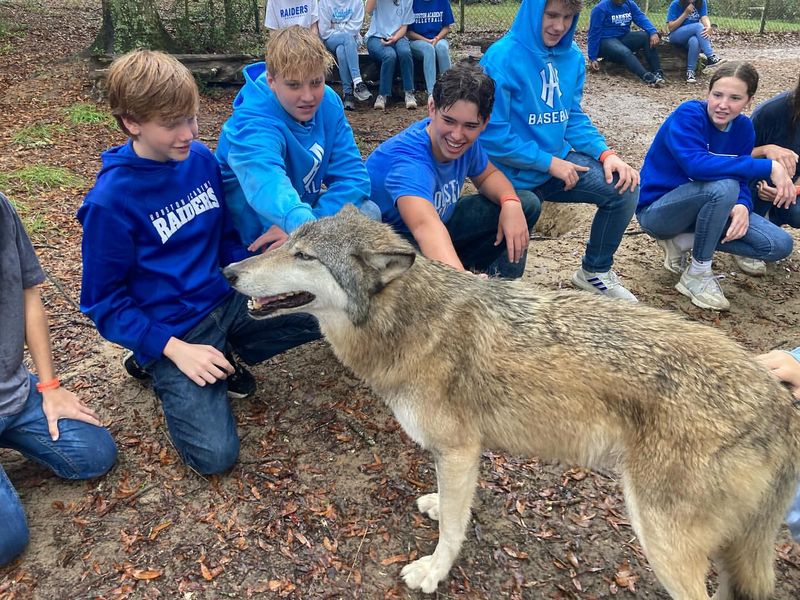 Seacrest Wolf Preserve, Florida