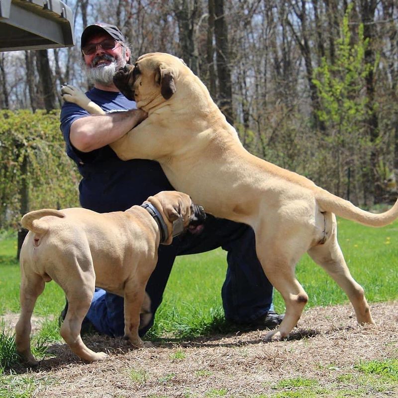 Security