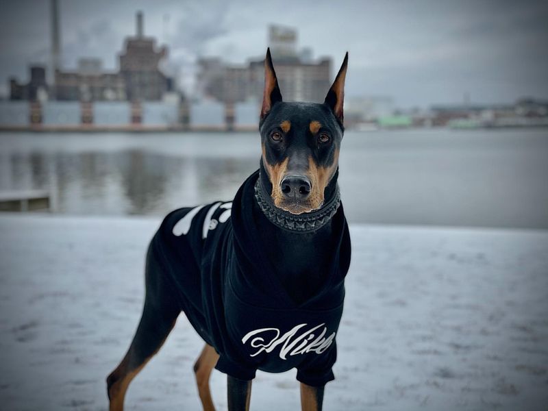 Sensitive to Cold Weather