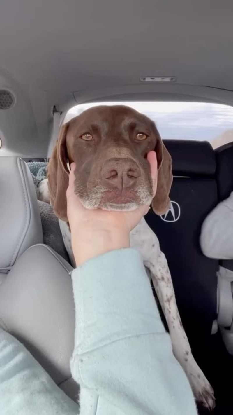 Stress Relief Through Touch