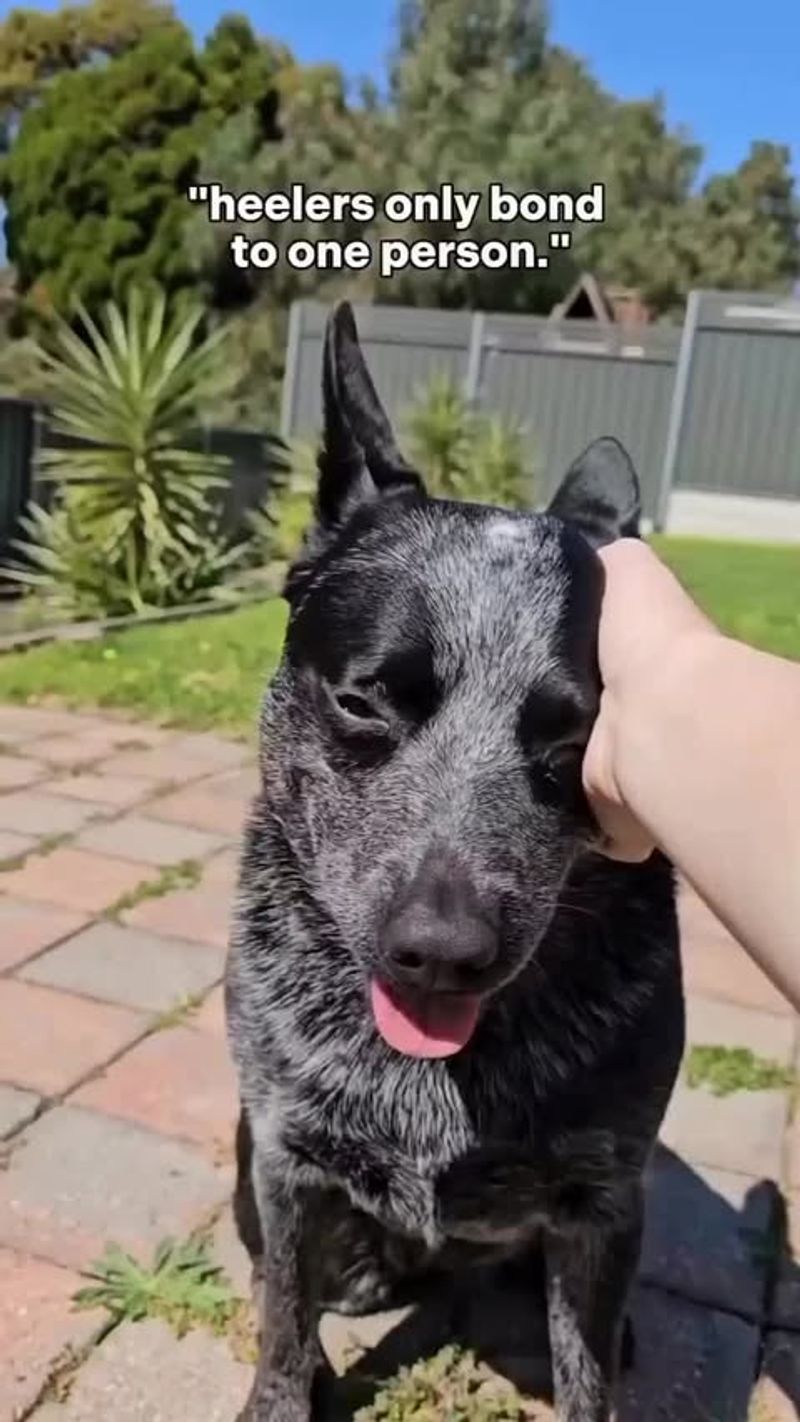 Strong Bond with Owners