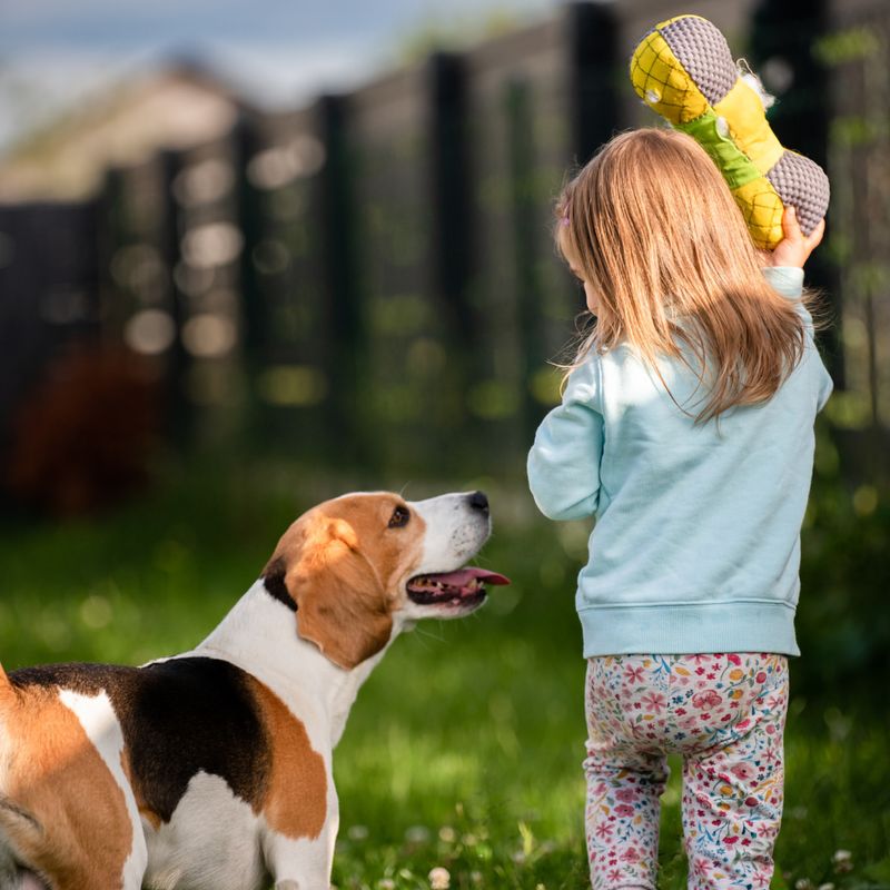 Teaching Empathy and Responsibility
