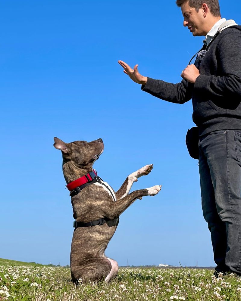Teaching Responsibility