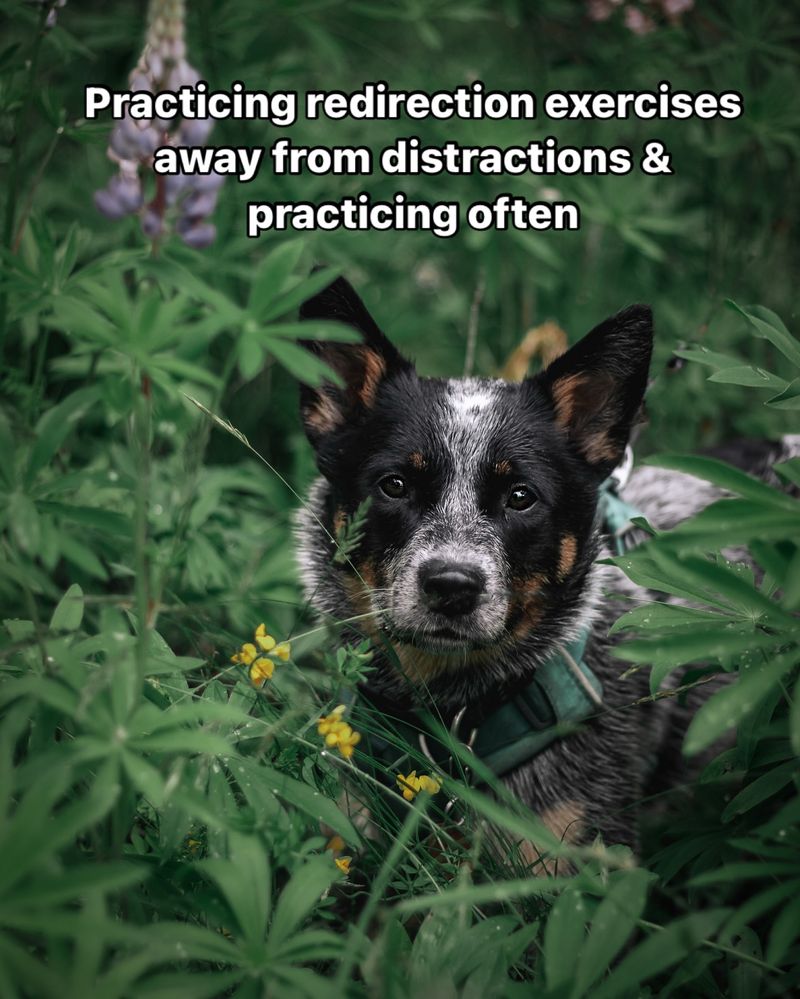 Training for Success